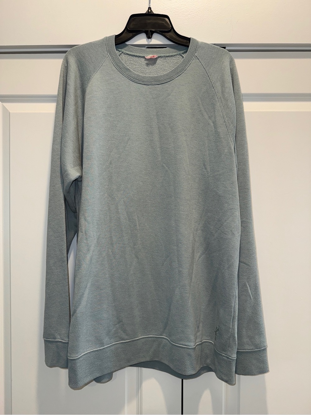 Men's Crewneck Sweater in Light Sage Green